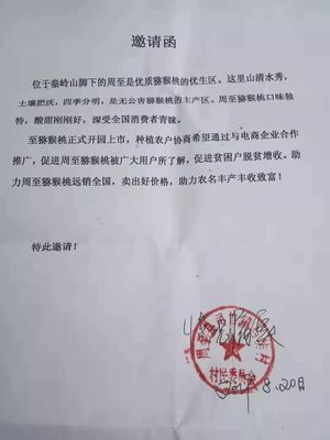 爱心传递周至 40万斤猕猴桃滞销待援，无声老人与留守儿童的期盼