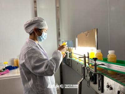 六盘水 产业转型蹄疾步稳，猕猴桃变身“致富果”