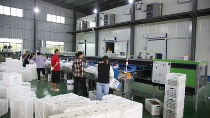 修文县首个即食猕猴桃加工中心建成投用，开启猕猴桃产业发展新篇章