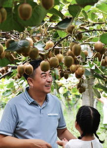 路人镜头下的张嘉译 岁月沉淀下的和善与真实