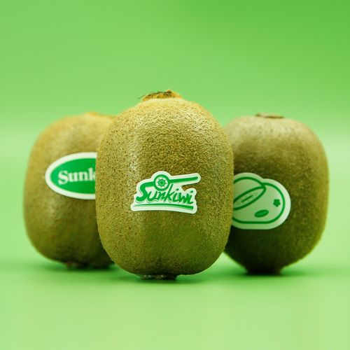 眉县大气农场 数字猕猴桃专业合作社以集约化管理推动品牌分红与销售升级