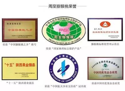 周至猕猴桃盼销路 万千儿女的呼唤，您的援手见真情